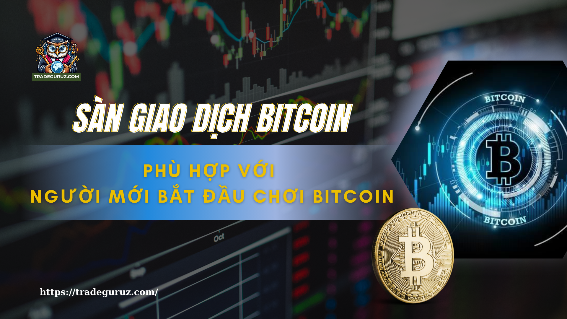 blog-image